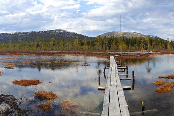 Pyhaluosto_tunturijono_Tunturiaavalta_toukokuu_MariKotajarvi