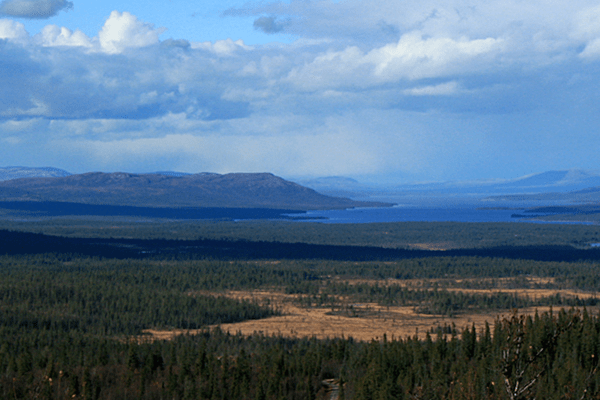 Norwegen - Femundsmarka2