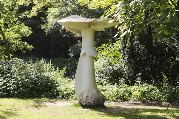 Carsten-Höller-©-Anders-Sune-Berg