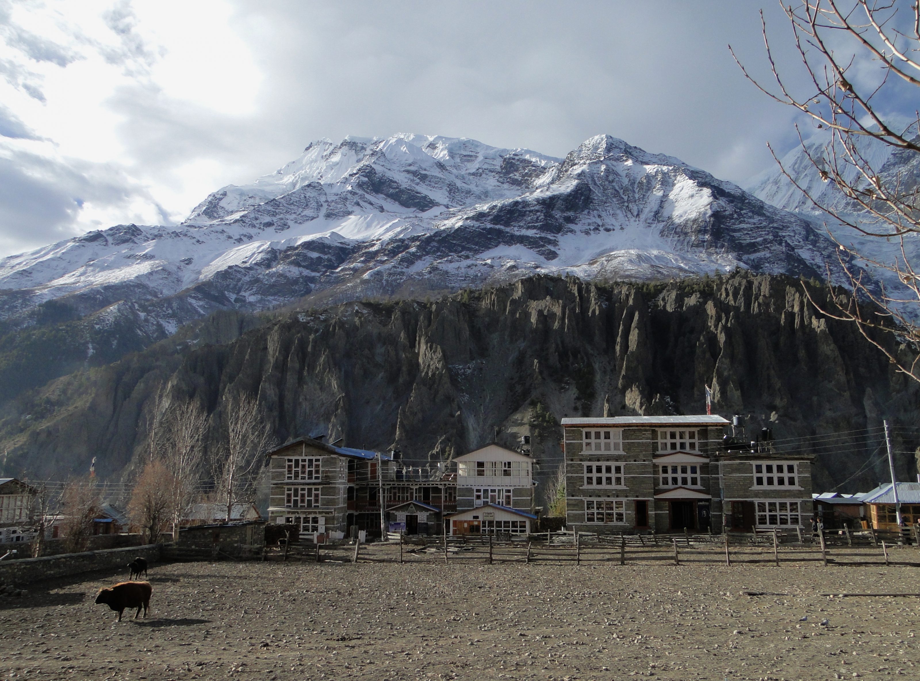 9928192615_853fff9024_o