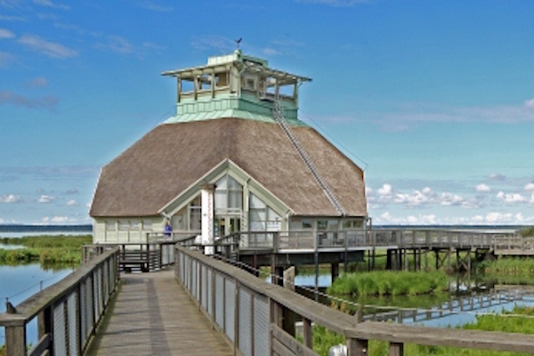 naturum Hornborgasjön