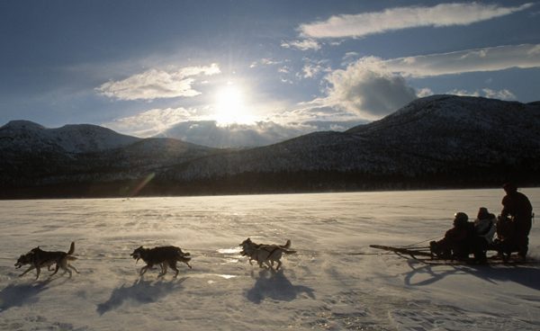 Dog- sledge tour with Matti Holmgren from Jokkmokkguiderna, Nature's Best, Stora Sjöfallets National Park, Laponia, Lappland, Norrbotten, Sweden