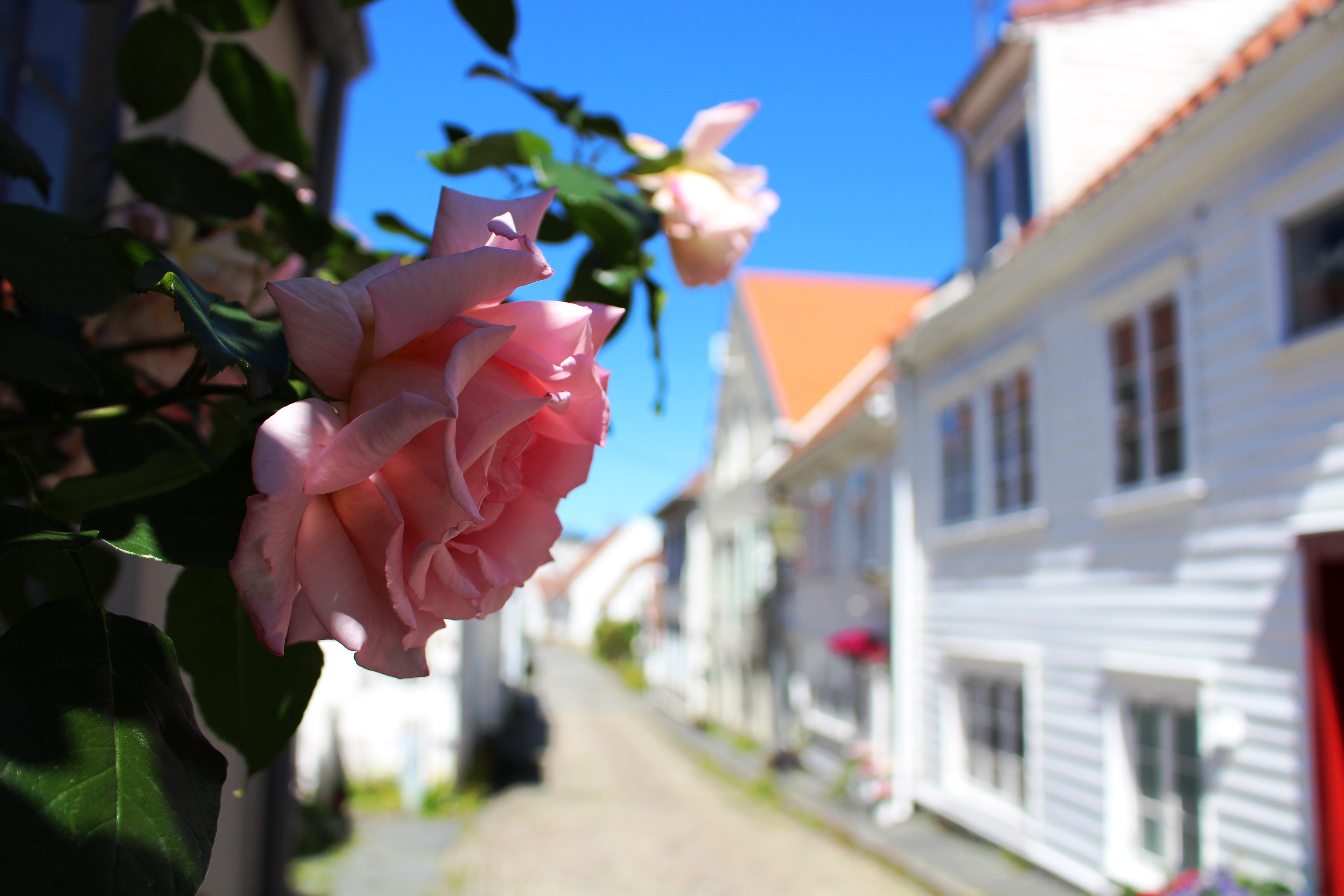 NORR Tipps Märchenwandern, Cooles Stavanger, Sörmlands Labyrinth