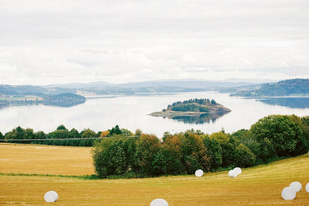 Auf dem goldenen Umweg bieten sich viele herrliche Ausblicke auf den Fjord.