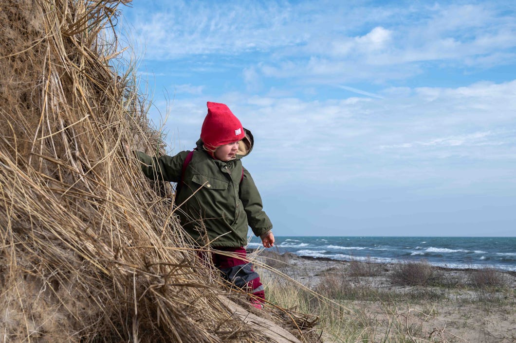 Am Strand von Læsø