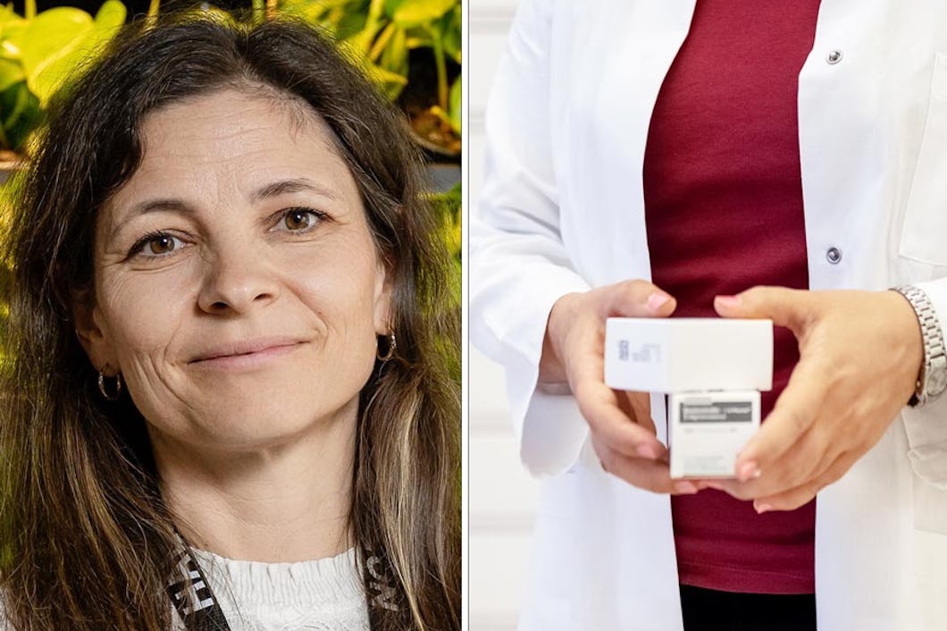 Anja Schwarz, Nordenchef på Haleon.