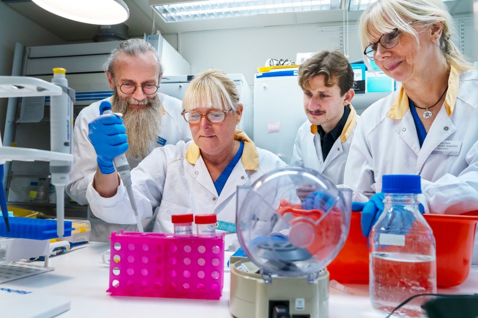 Henrik Zetterberg, Joel Simrén, Camilla Johansson och Karin Palm.