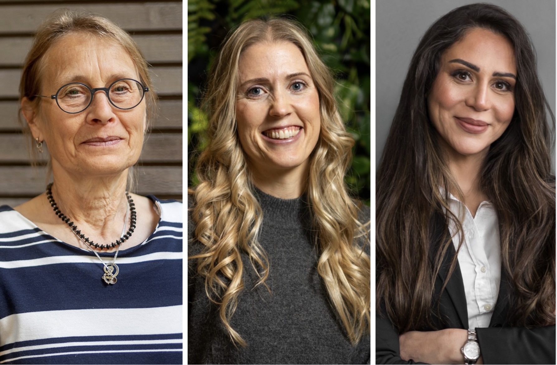 Ulla Wändel Liminga, Tora hammar och Solin Chami.