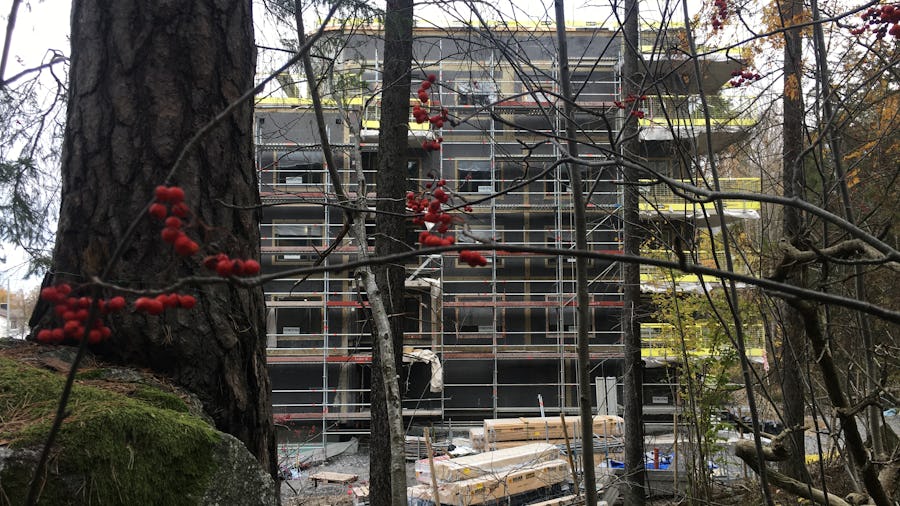 En byggnad under uppbyggnad med röda bär.