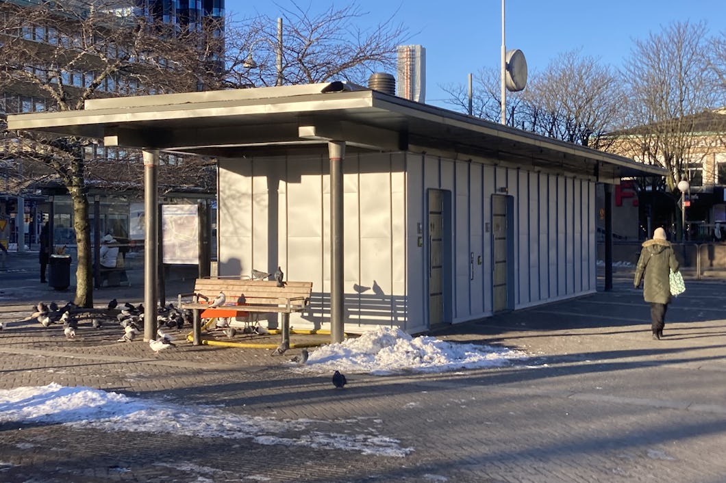 En busshållplats med bänkar och duvor i snön.