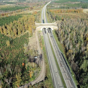 En flygfoto över en motorväg i en skog.