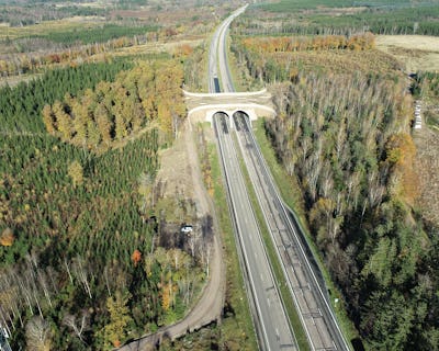 En flygfoto över en motorväg i en skog.