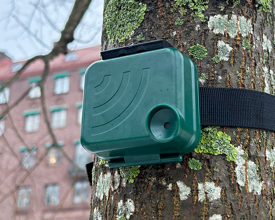 En liten grön anordning, som liknar en miljösensor, är fäst vid en trädstam i en stadsmiljö med en byggnad synlig i bakgrunden.