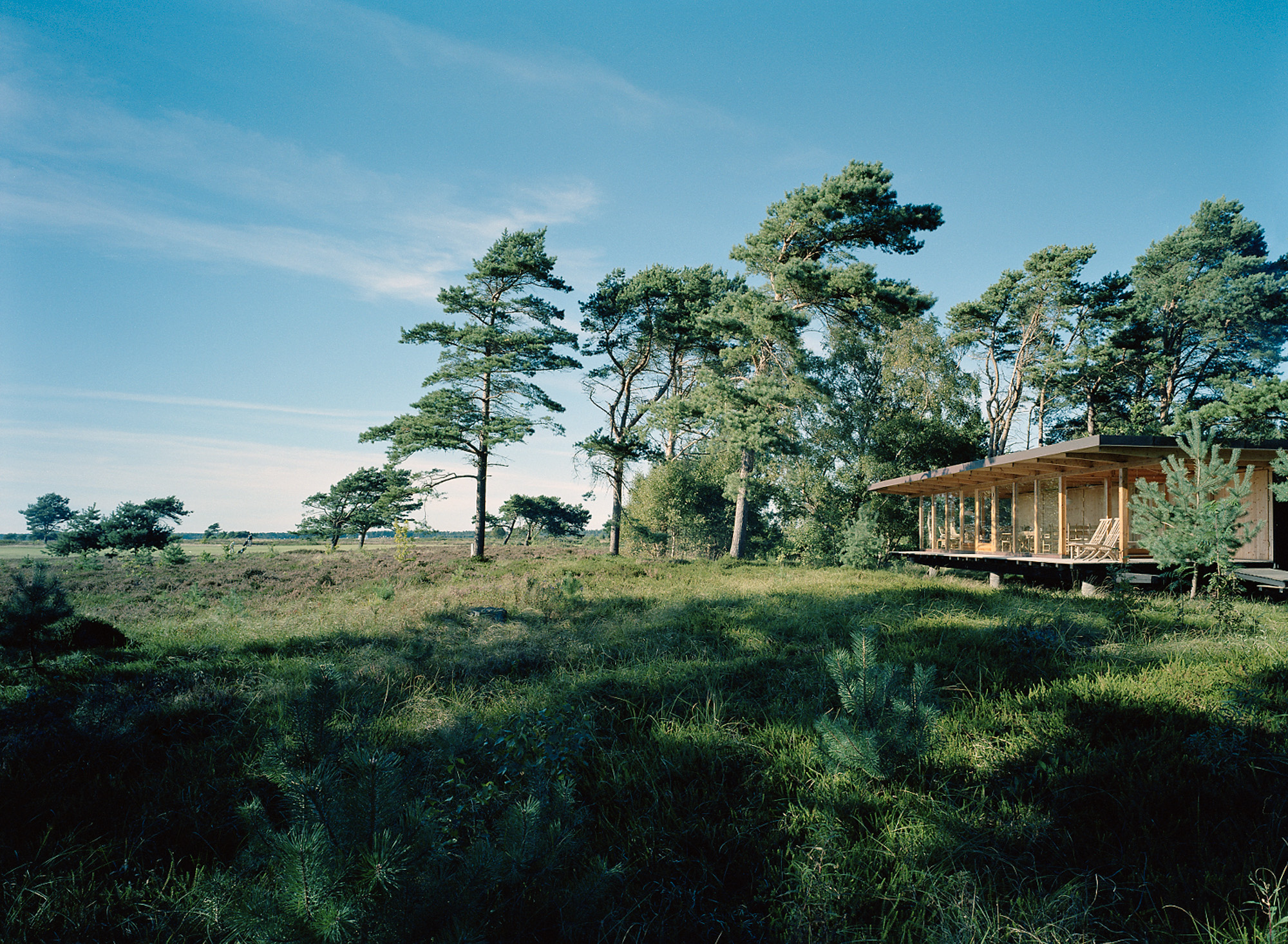 Ett trähus med veranda står på en gräsäng, omgiven av tallar under en blå himmel.