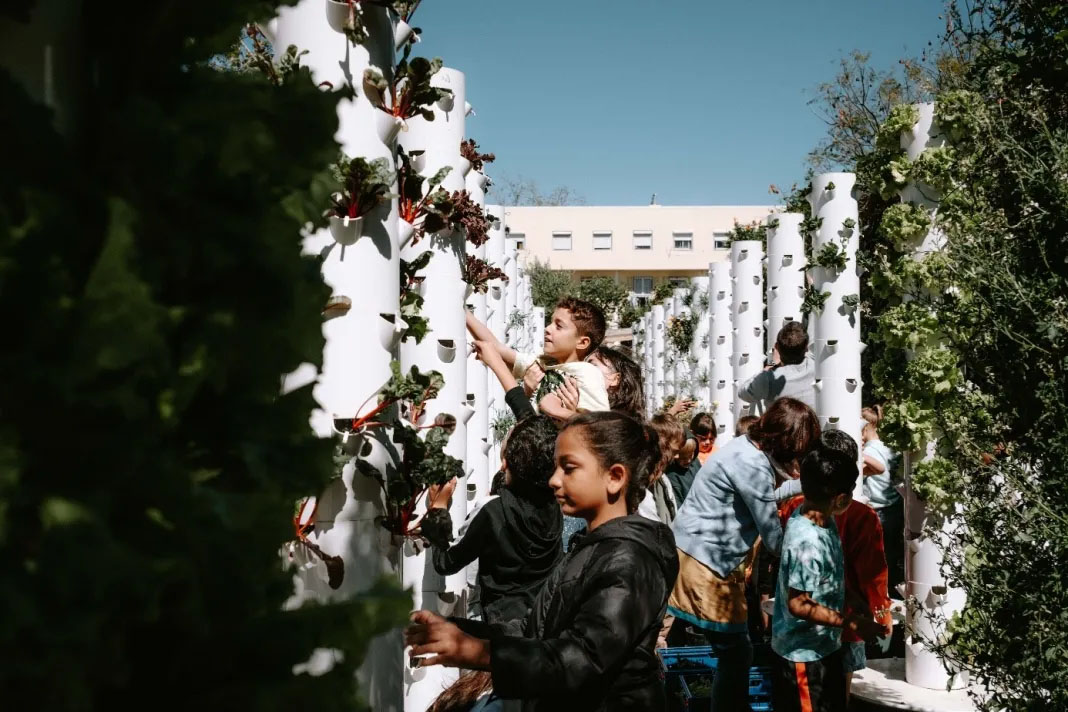 Barn och vuxna skördar grönsaker från höga, vertikala odlingstorn i en utomhusodling i stadsmiljö under klar himmel.