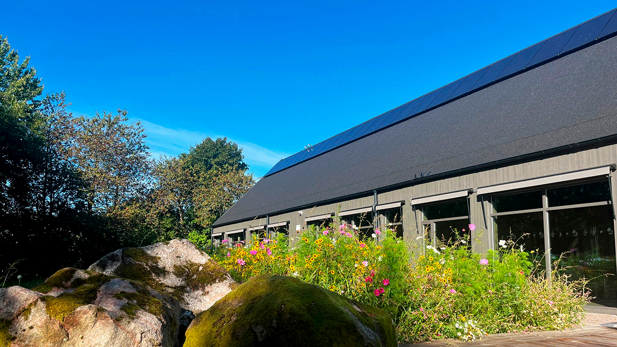 En modern byggnad med solpaneler på taket, omgiven av vilda blommor och stora mossiga stenar under en blå himmel.