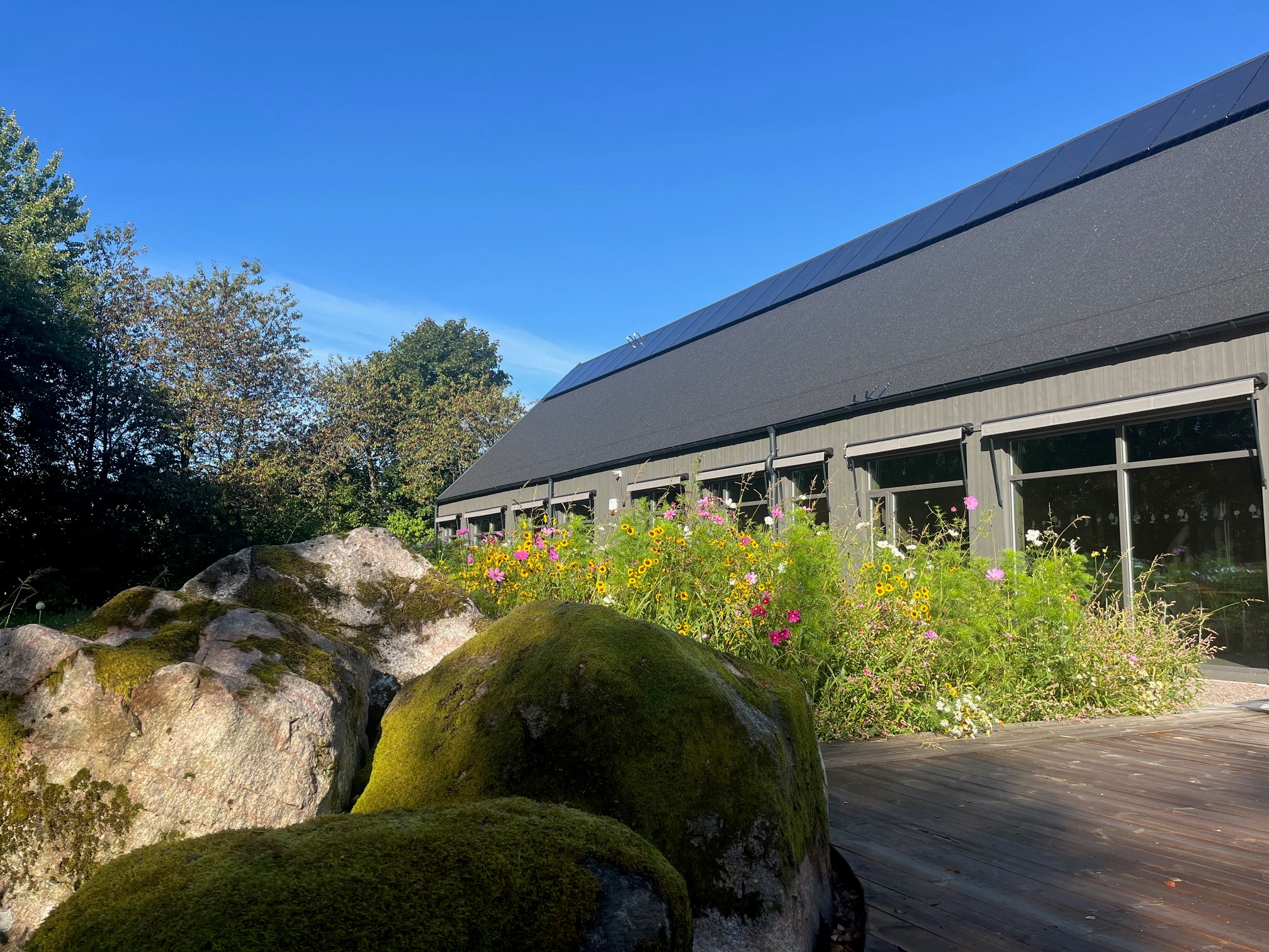 Modern byggnad med stora fönster och solpaneler, omgiven av blommor, träd och stenar med mossa under en blå himmel.