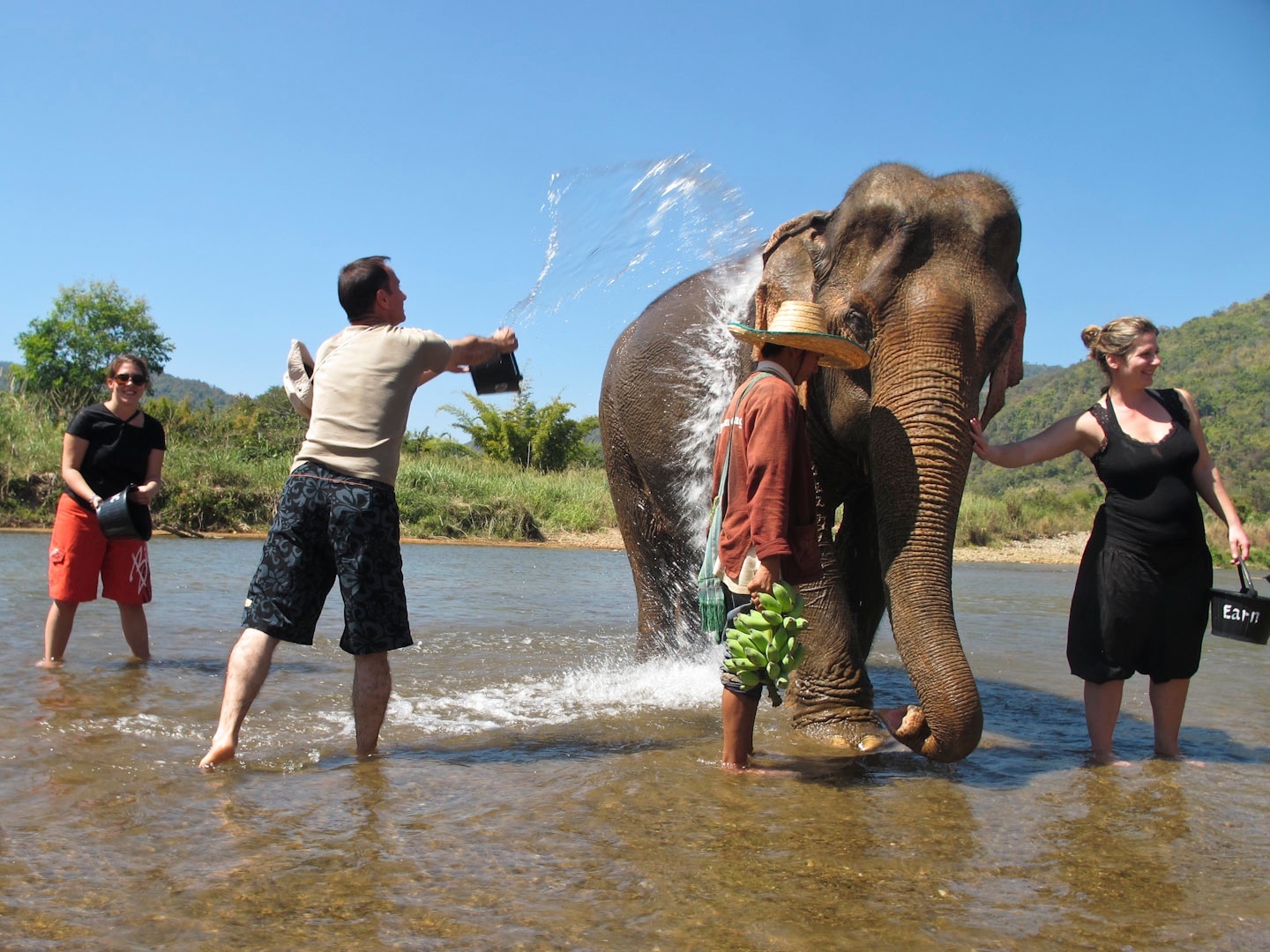 När de har badat färdigt går elefanterna direkt till en stor gyttjepöl och rullar sig i gyttjan – lite som för att retas efter att vi precis gjort rent dem i en halvtimme. Men det är givetvis för att skydda huden mot den starka solen. Foto: Ville Frisk