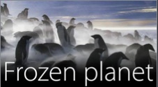 BBC-dokumentären "Frozen Planet".