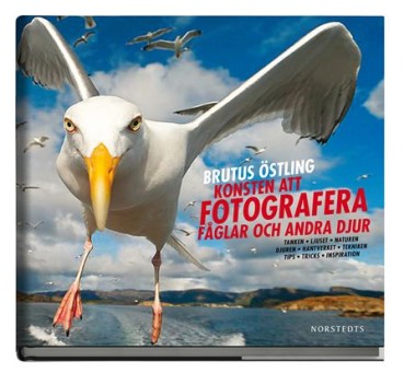 Brutus Östlings bok "Konsten att fotografera fåglar och andra djur"