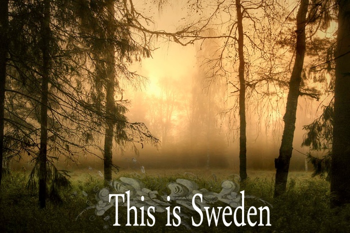 This is Sweden är en fotogrupp som är öppen för alla som gillar att fotografera. Foto: Marie Gillander