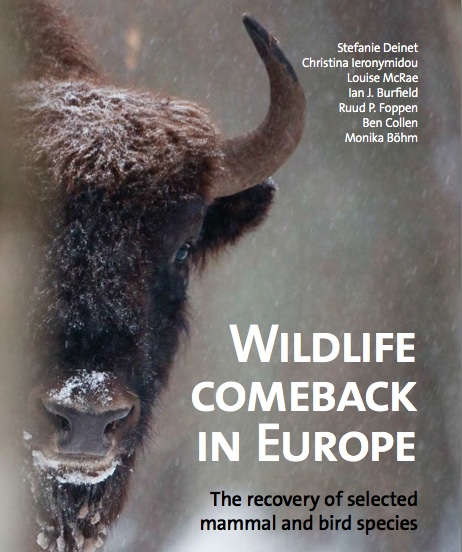 Rapporten "Wildlife Comeback in Europe" visar över lag på en positiv utveckling för Europas djur.