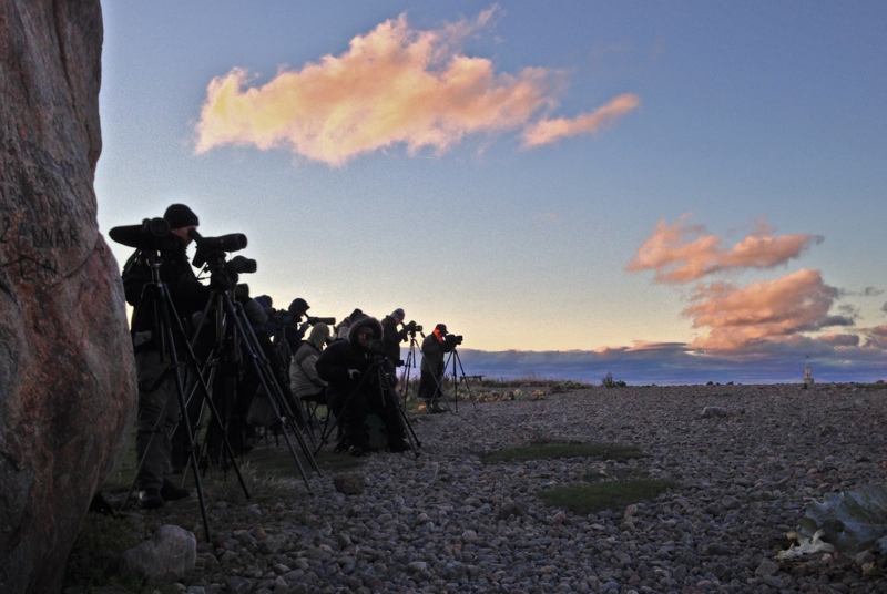 Fågelskådare vid Glommens sten. Foto: Erik Hansson