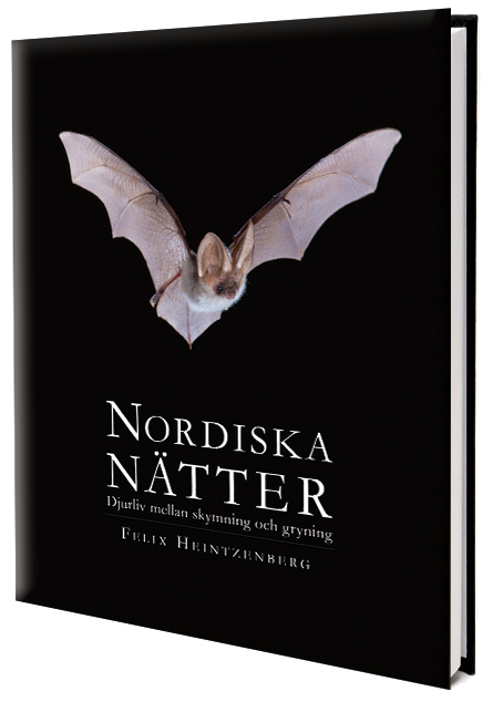 Årets pandabok: "Nordiska nätter". Foto: Felix Heintzenberg