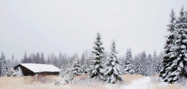 En vit jul är för många den bästa julklappen man kan få. Foto: Gunilla Falk
