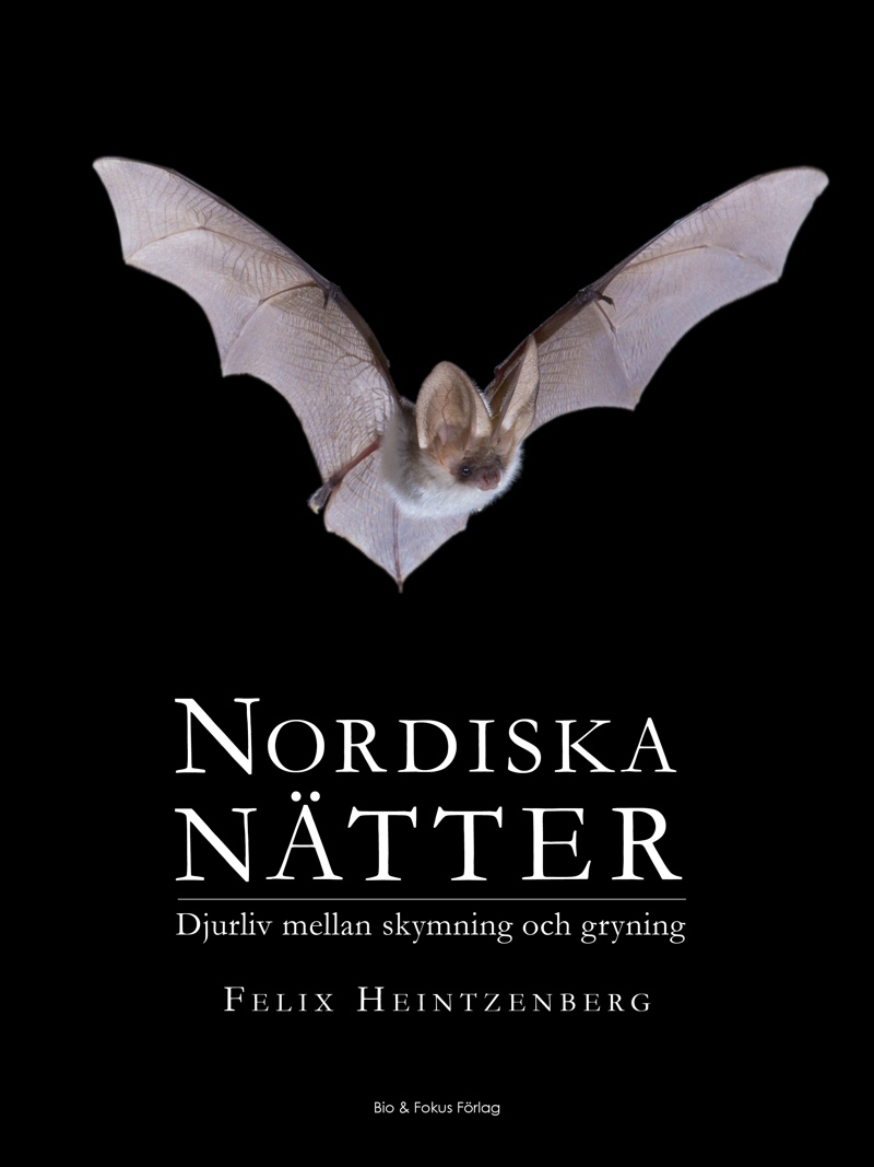 "Nordiska nätter – djurliv mellan skymning och gryning" av Felix Heintzenberg