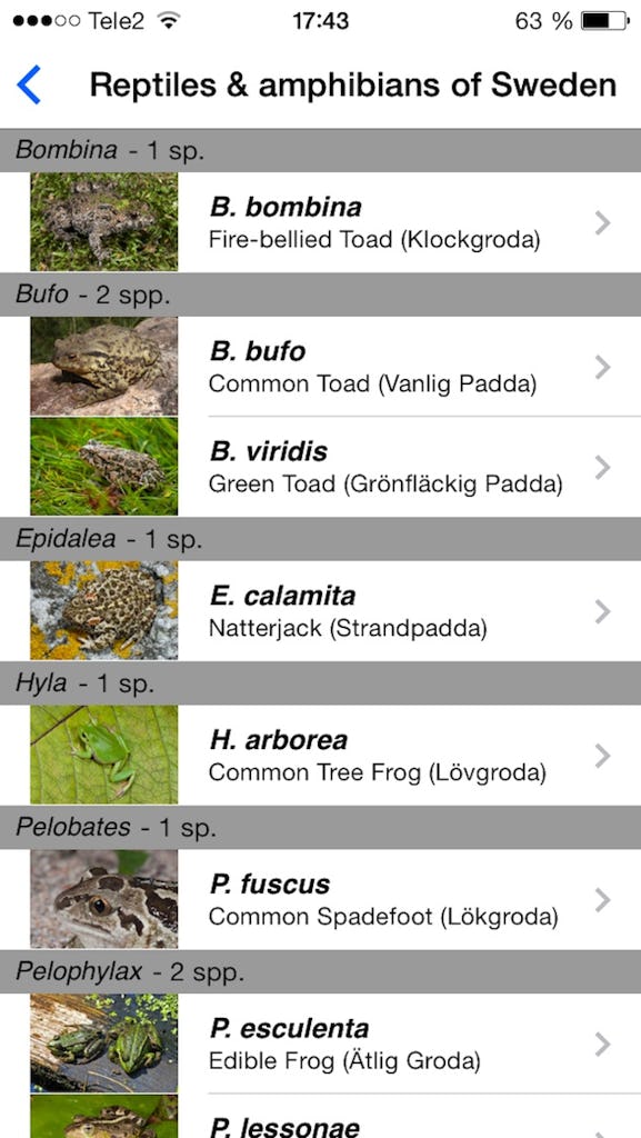 Alla arter listas med sina engelska, latinska och svenska namn. Som synes är inte layouten så flashig.