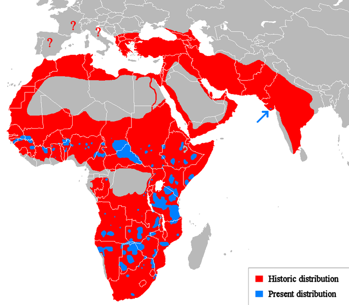 Lejons utbredning på 1950-talet jämfört med 2009.