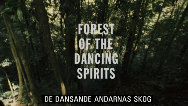 de-dansande-andarnas-skog