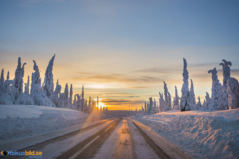 Vinterväg i Norrland. Foto: Robin Eriksson
