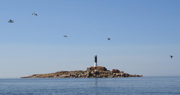 Bondens fyr i Örefjärden-Snöanskärgårdens marina naturreservat. Foto: Wikimedia