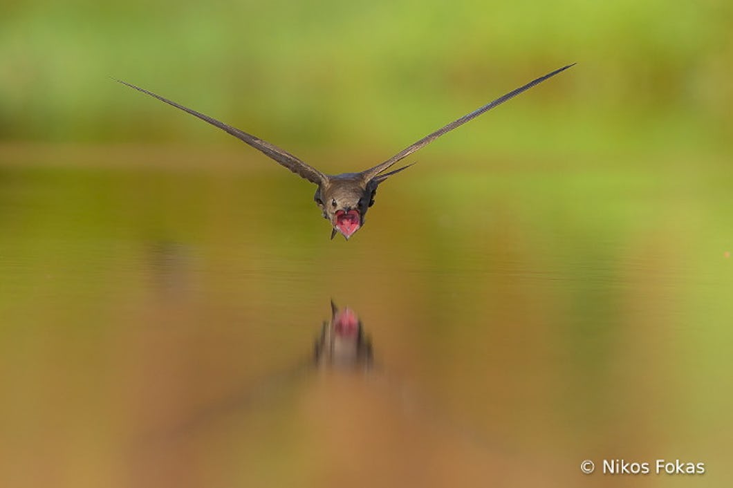 Chiroyli yakkaxon porno video Sankt-Peterburgdagi qizlar uchun jinsiy aloqa elonlari