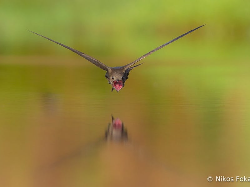 Lezbiyenlar dadasi va qizi bilan jinsiy aloqada bolishadi Yapon yalangoch balerinalar