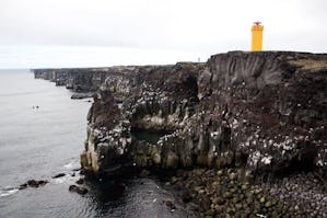 Häckningsplatserna längs Islands kustremsa kommer snart inte vara lika bebodda. Foto: Peder Winding