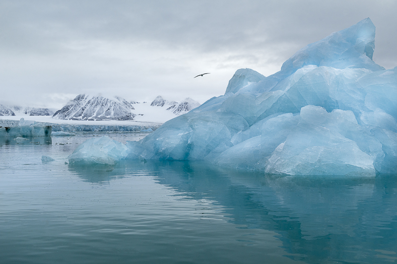 Svalbards Vicks blå. Foto: Cecilia Rudengren