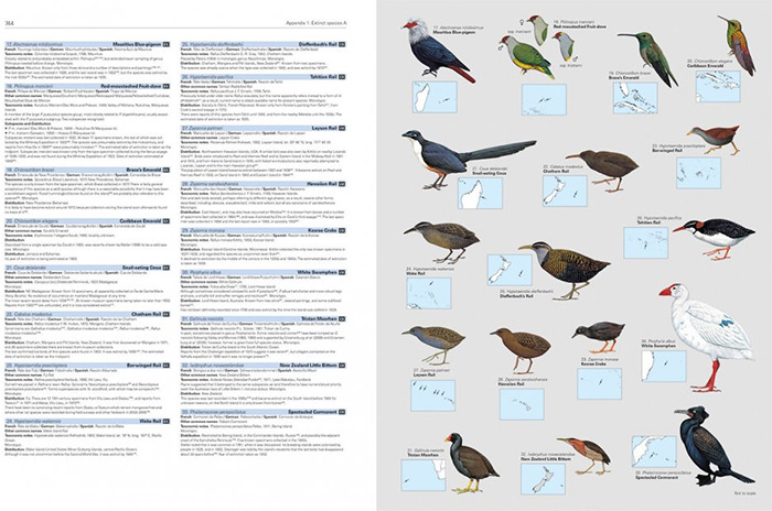 Så här ser ett typiskt uppslag ut i International Illustrated Checklist of the Birds of the World.