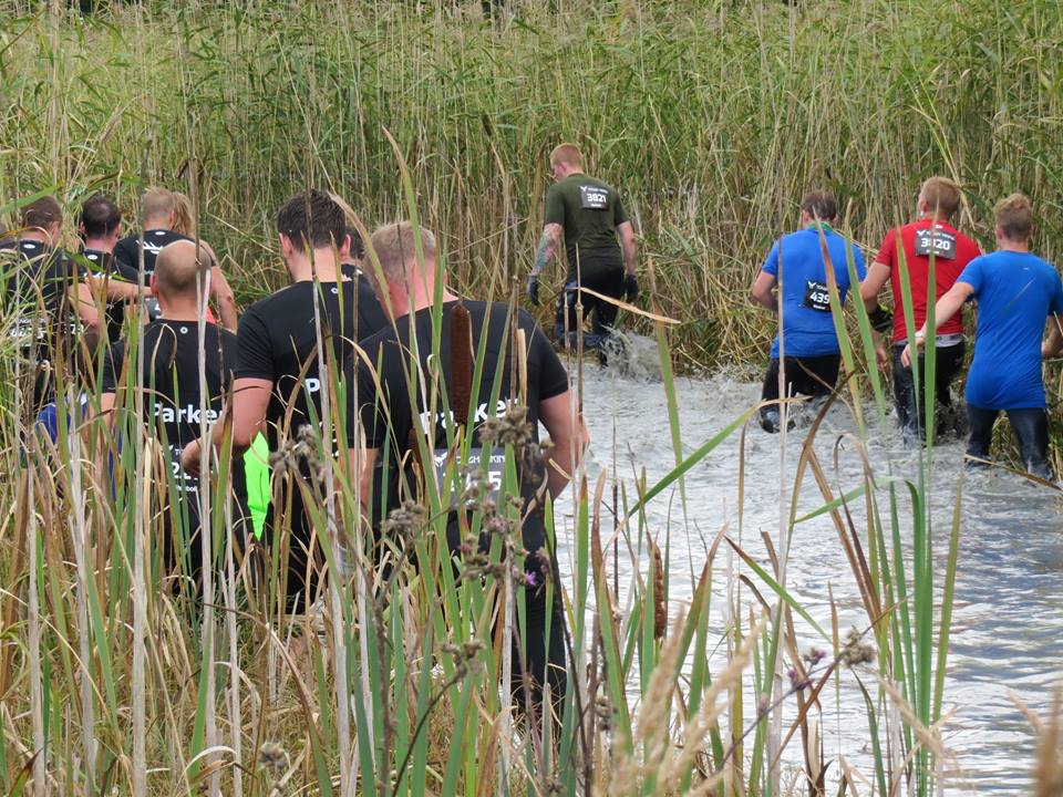 Bioblitzen i Nationalstadsparken stördes något av evenemanget Tough Viking, som bland annat innebar att deltagarna sprang rakt igenom en våtmark. Foto: Torbjörn Peterson