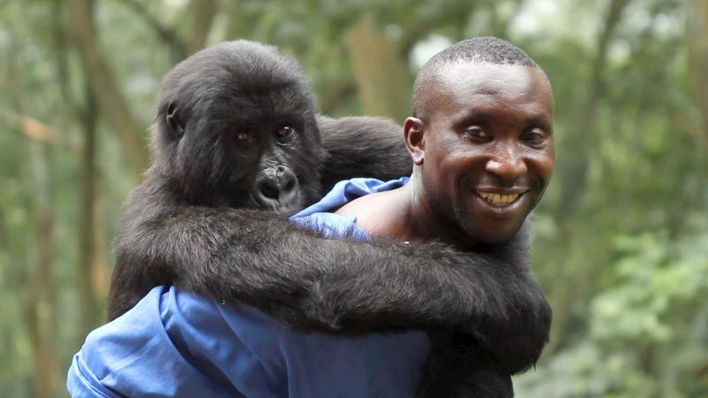 Stillbild från filmen Virunga.