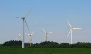 Vindkraft, världens billigaste energiform. Foto: Tomasz Sienicki via Wikimedia