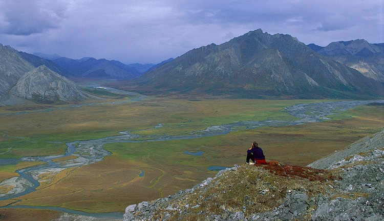 Arctic National Wildlife Refuge. Foto: Steven Chase, U.S. Fish and Wildlife Service via Wikimedia