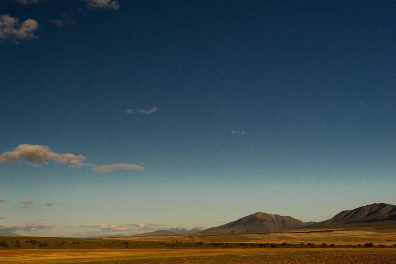 ”Klein Karoo”, ett torrt, varmt och halvökenartade område i Karooregionen i Västra Kapprovinsen i Sydafrika. Oktober 2013. Här förekommer åtskilliga arter som är anpassade till ett torrt och varmt klimat och här är den kommersiella strutsnäringen av stor ekonomisk betydelse. Foto: Erik Svensson