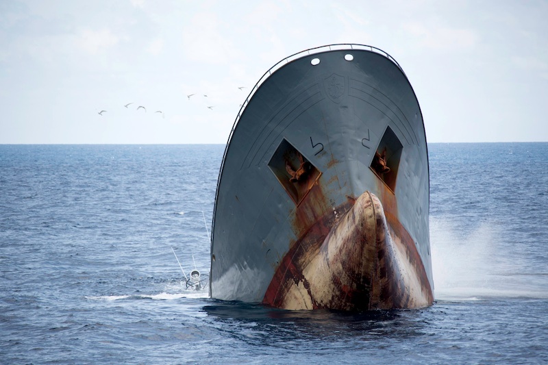 Skeppet Thunder sjunker. Foto: Simon Ager, Sea Shepherd