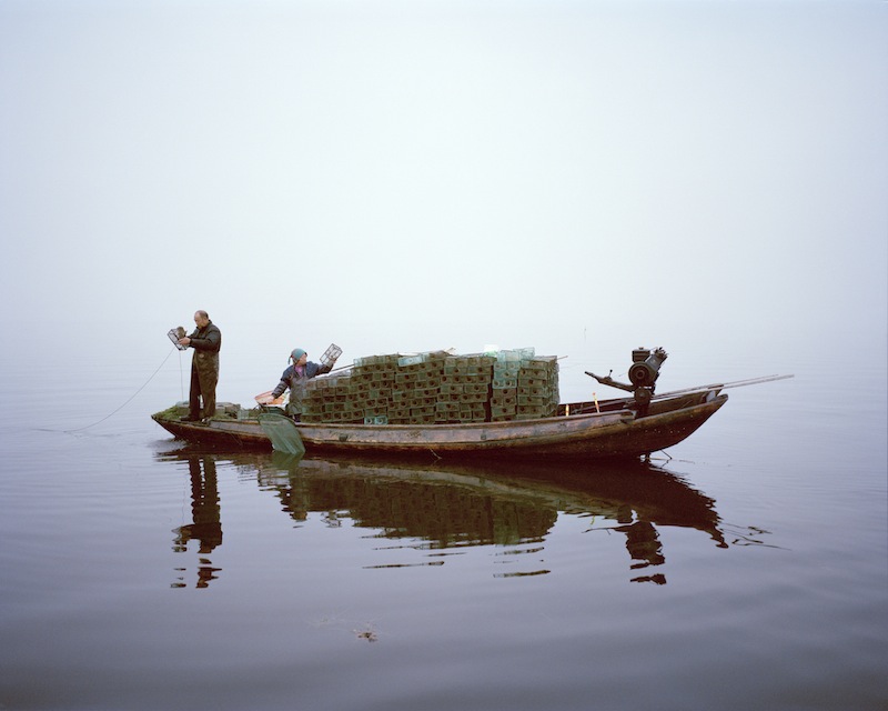 Räkfiske vid Hongsjön i Hubei Provinsen, Kina, 2015. Foto: Mustafah Abdulaziz