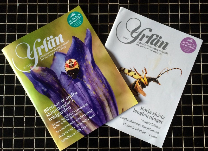 De första två nummerna av tidskriften Yrfän.