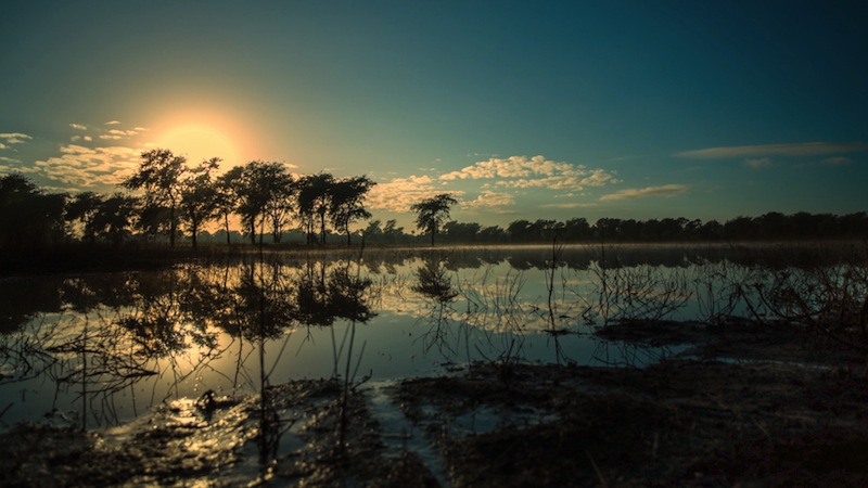 Regnsäsongen i Gorongosa. Foto: National Geographic Channels/Eric Rochner