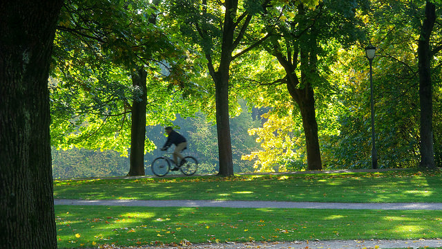 Cykeltur i park i Oslo. Foto: Anders Sandberg via Flickr https://www.flickr.com/photos/arenamontanus/